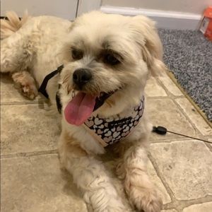 Meet your Posher, Caroline